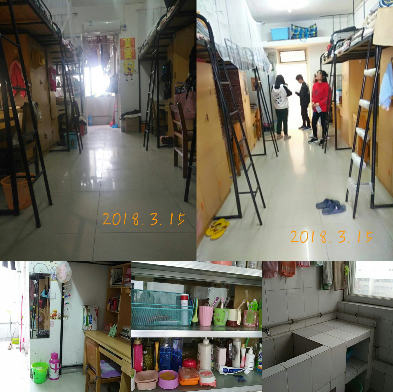 体育博彩平台排名